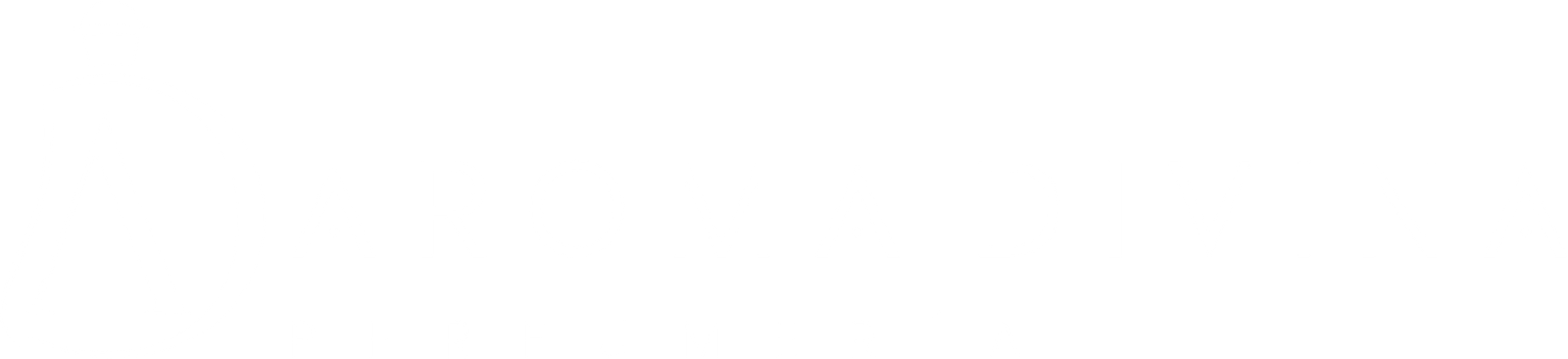 aromadivinaperfumes.com